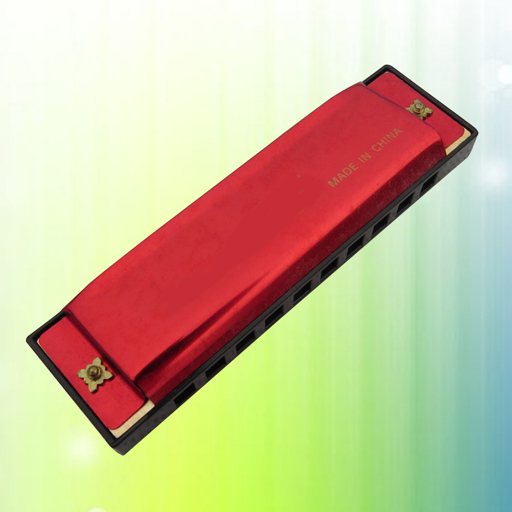 10 Hole Harmonica for Beginner - Harmonica 10 Hole 评论和价格