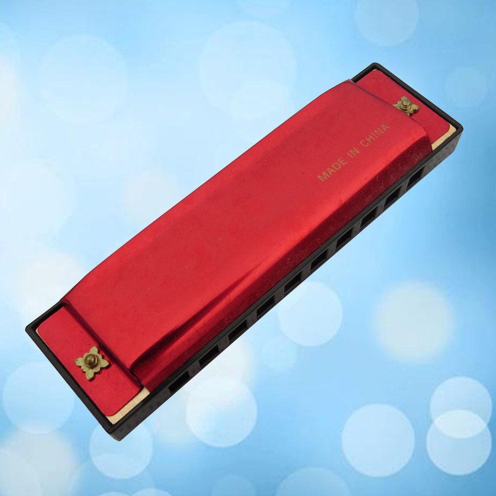 10 Hole Harmonica for Beginner - Harmonica 10 Hole 评论和价格