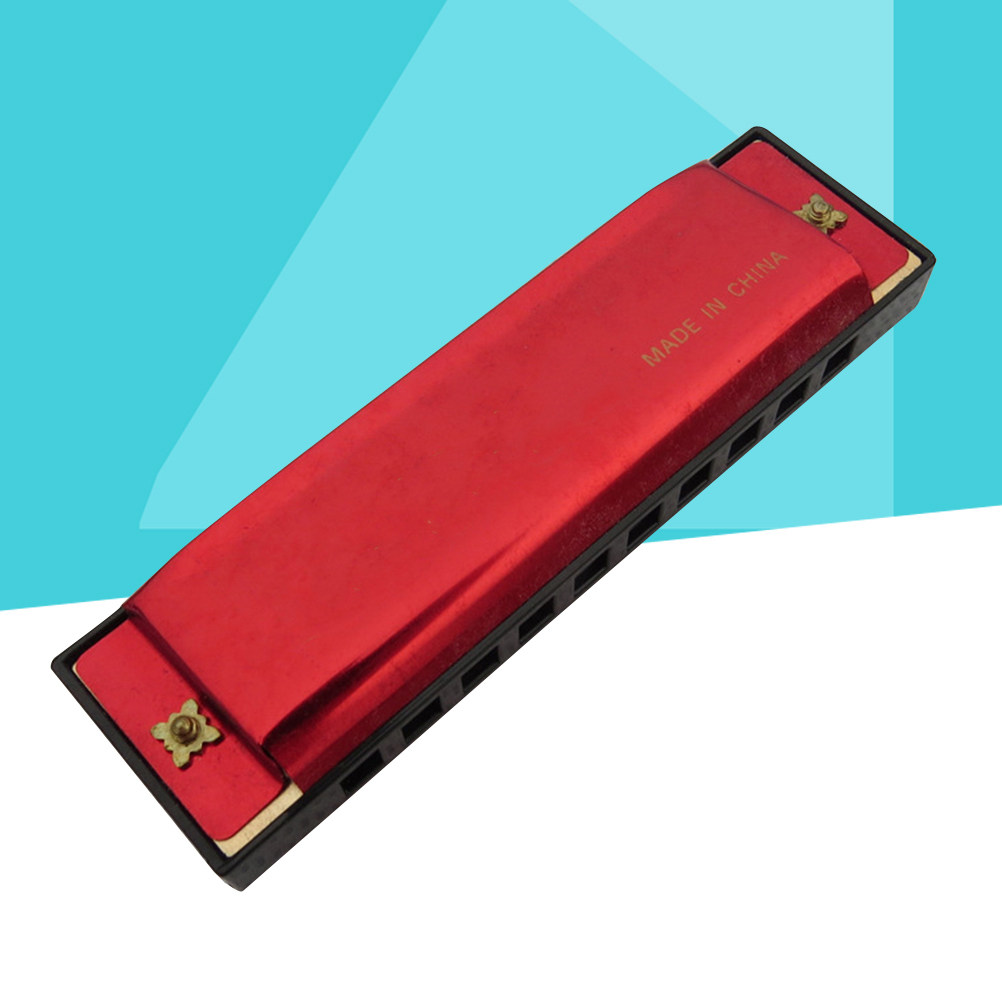 10 Hole Harmonica for Beginner - Harmonica 10 Hole 评论和价格