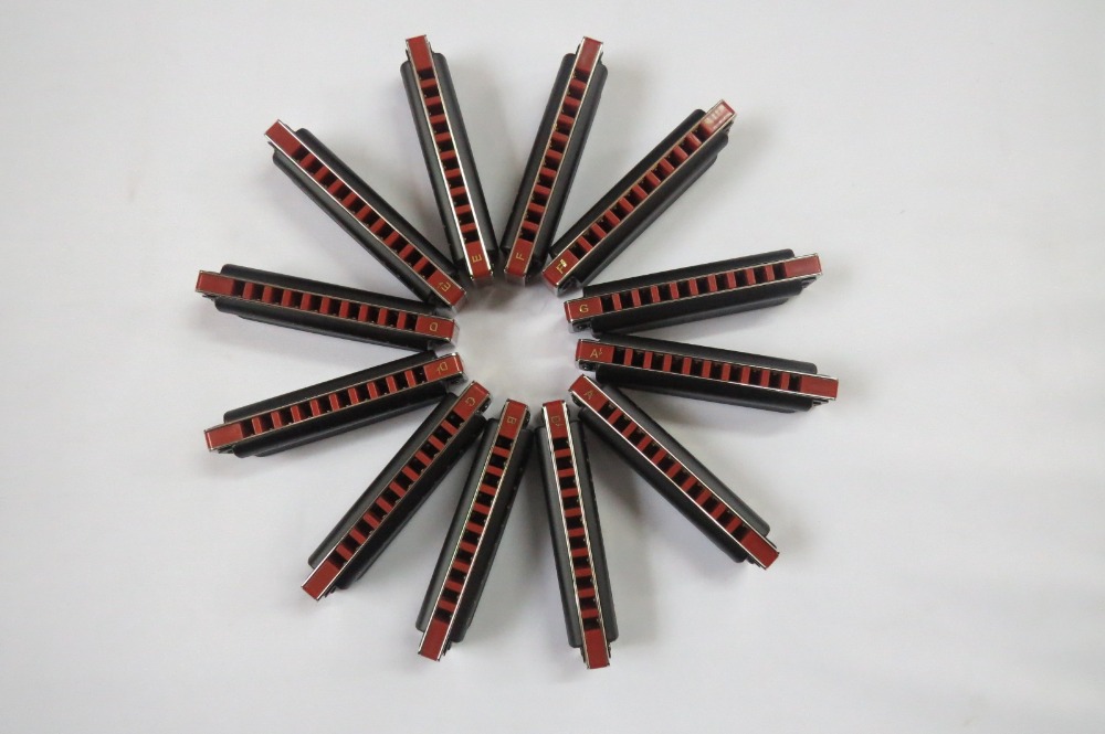 EASTTOP  blues harp mouth orga - Harmonica 10 Hole 评论和价格