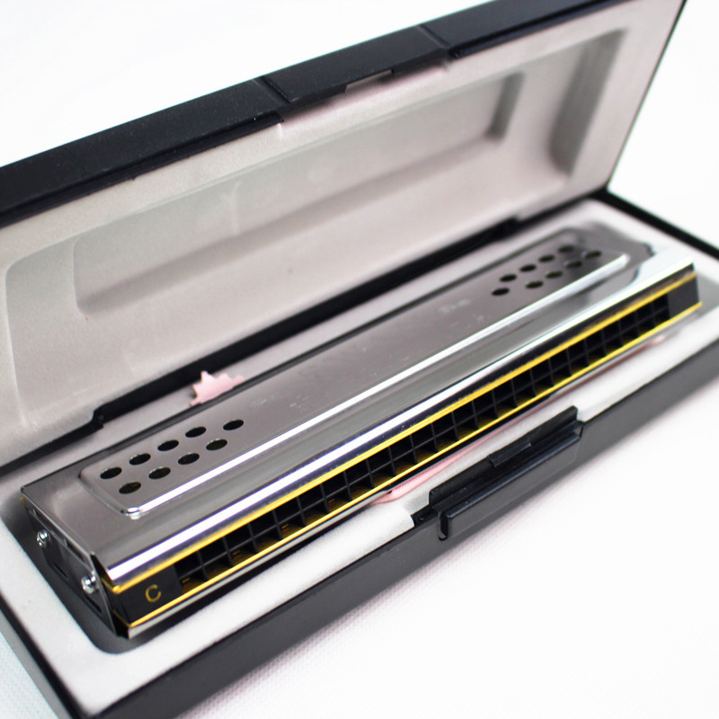 Both Sides Swan Harmonica Trem - Harmonica 10 Hole 评论和价格