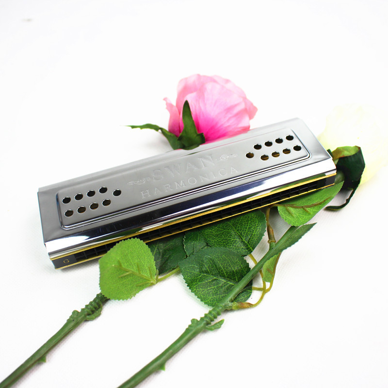 Both Sides Swan Harmonica Trem - Harmonica 10 Hole 评论和价格