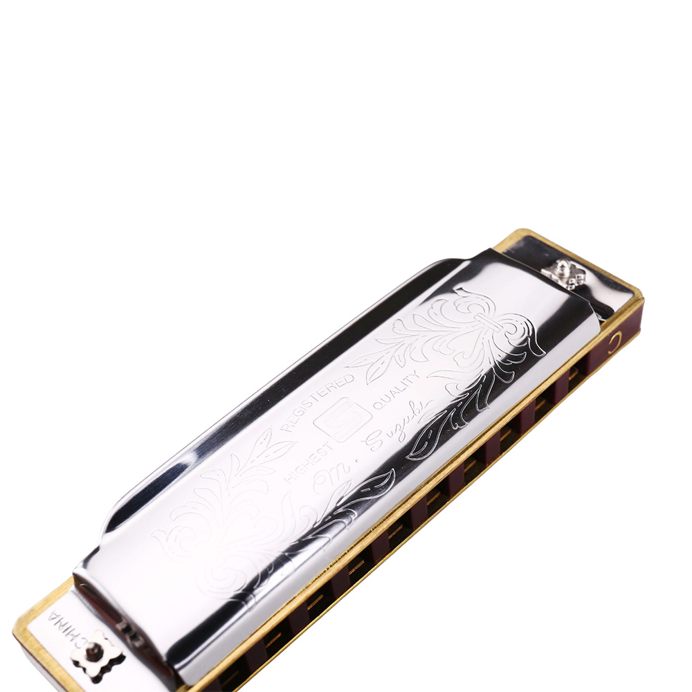 Harmonica Folk Master 1072 Sta - Harmonica 10 Hole 评论和价格